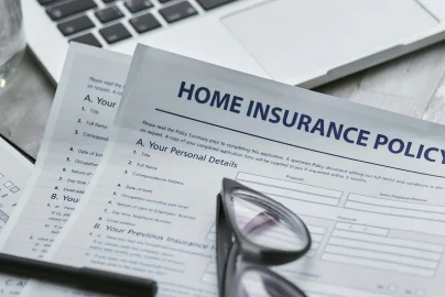 Franquicia Freeway Insurance (2024)